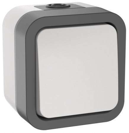 IEK TORS Выключатель кнопочный 10А IP55 TS210 белый