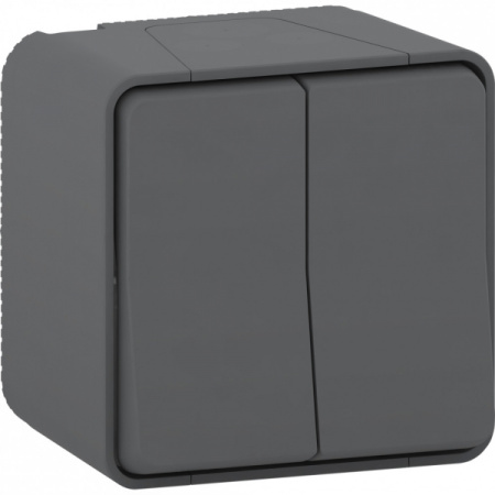 Schneider Electric Mureva Styl наруж Антрацит Переключатель 2-клавишный сх. 6+6, IP55