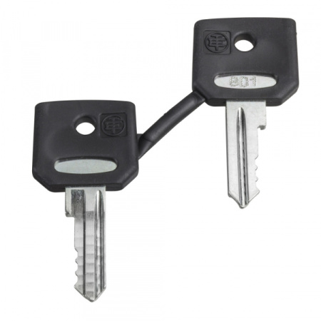 Schneider Electric XB5 Комплект ключей N\ 458A