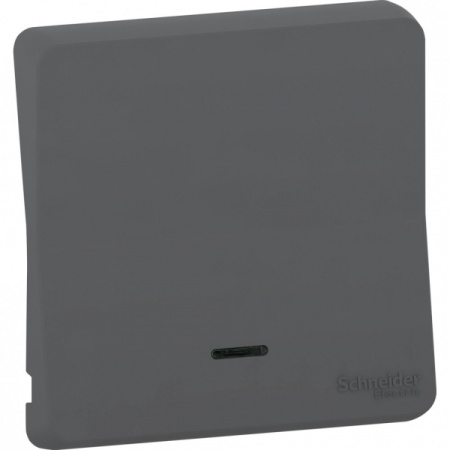 Schneider Electric Mureva Styl Антрацит Клавиша с линзой подсветки, IP55