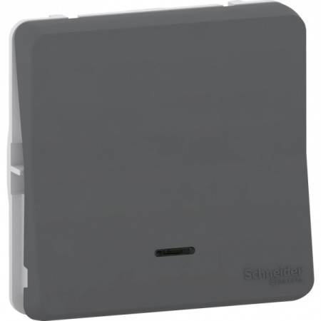 Schneider Electric Mureva Styl Антрацит Выключатель кнопочный с подсветкой, IP55