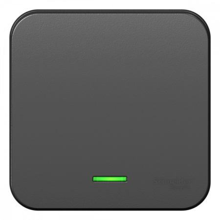 Systeme Electric Blanca наруж Антрацит Переключатель 1-клавишный с подсветкой 10А, 250B, изолир. пластина