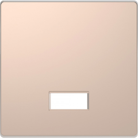Schneider Electric Merten D-Life Шампань Клавиша с полем д/символа