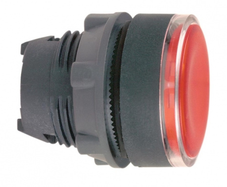 Schneider Electric XB5 Головка кнопки 22мм с задержкой (ZB5AH043)
