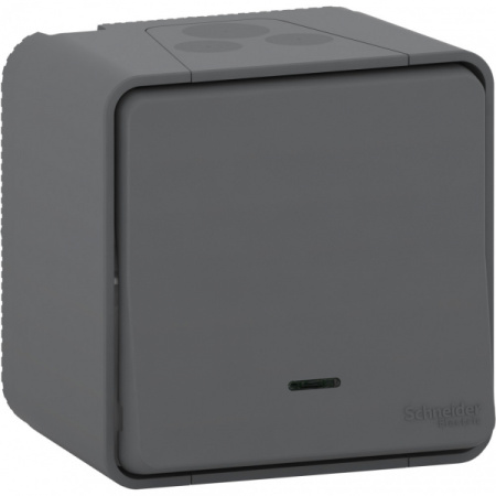 Schneider Electric Mureva Styl наруж Антрацит Переключатель с подсветкой, IP55