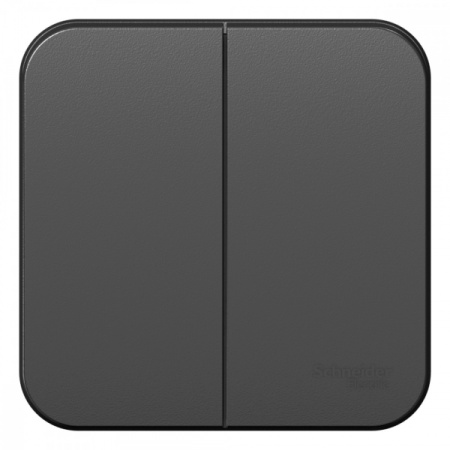 Systeme Electric Blanca наруж Антрацит Выключатель 2-клавишный, 10А, 250B