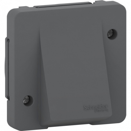 Schneider Electric Mureva Styl Антрацит Вывод кабеля, IP55