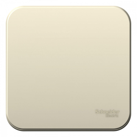 Systeme Electric Blanca наруж Молочный Выключатель 1-клавишный, 6А, 250В