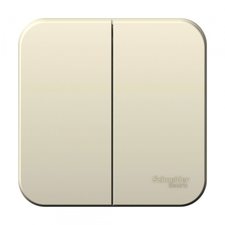 Systeme Electric Blanca наруж Молочный Выключатель 2-клавишный, 6А, 250В