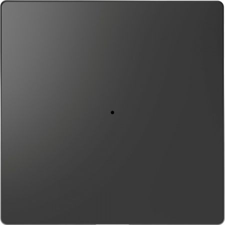 Schneider Electric Merten D-Life Антрацит PlusLink Клавиша 1-ая без символов